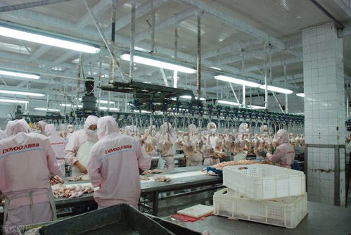 月薪近萬的工廠工作，為何搶不過日曬風吹的外賣騎手？——從“基礎電信業務”角度透視職業選擇變遷